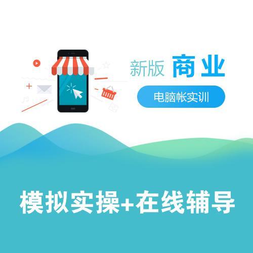 學(xué)會計(jì)必學(xué)實(shí)操 掌握審計(jì)與稅務(wù)服務(wù)的核心技能