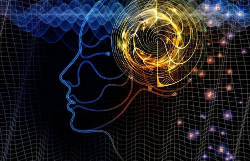 北京理工大學“3+2”留學項目 計算機軟件開發(fā)專業(yè)深度解析